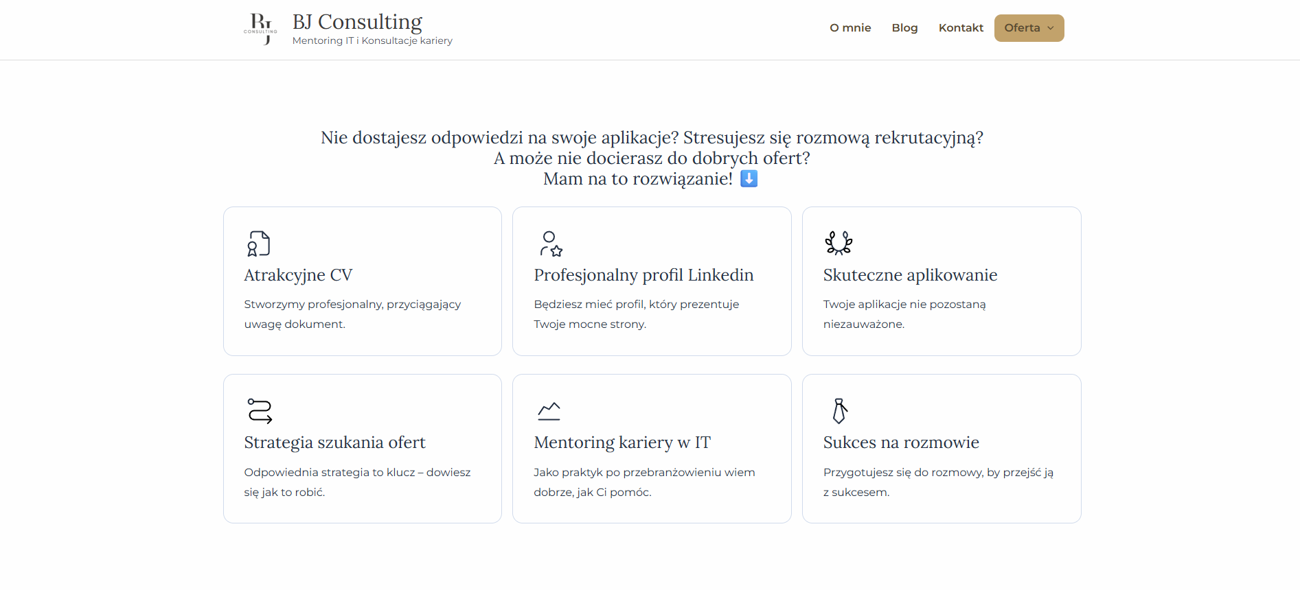 BJ Consulting project - showcase photo